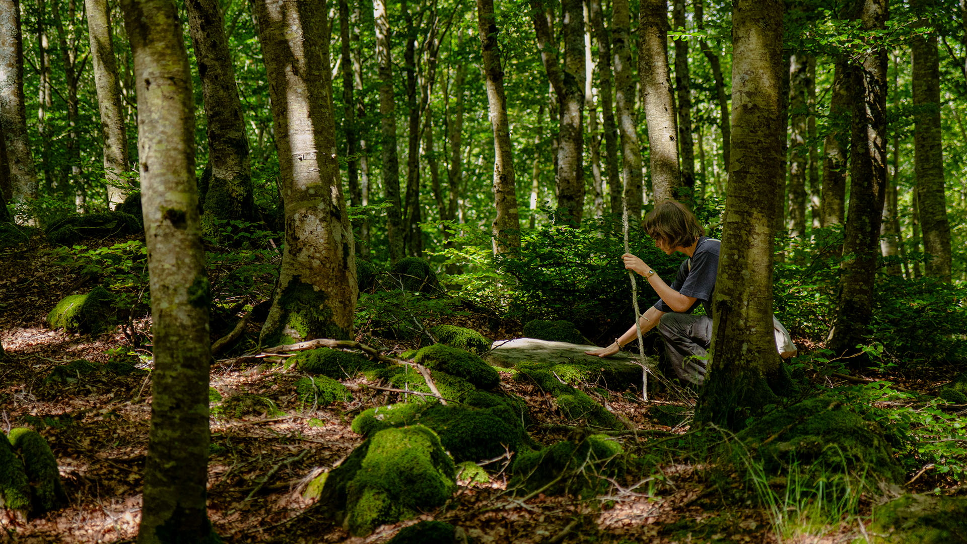 lama_portfolio_innovazione_servizi-ecosistemici-aree-montane1