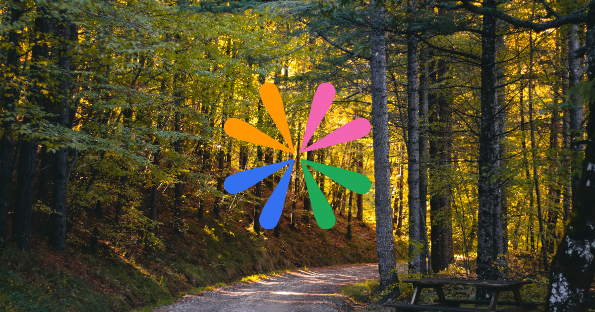 immagine rappresentativa di webinar e corsi di formazione organizzati dal progetto