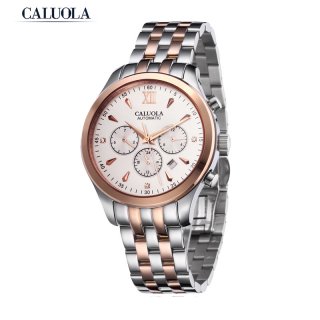 Caluola Business Men Watch Automatic Day-Date Month 24-Hour Luminous Sport Watch CA1013M1