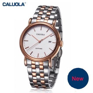Caluola Quartz Men Watch Simple Watches with Date Fashion Watch Steel Leather CA1002G