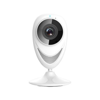 Panoramic Camera Wireless Network Camera Intelligent Monitoring Camera Wireless Network Surveillance Camera