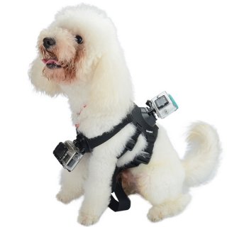 Action Camera Accessories Dog Pet Fetch Hound Chest Strap Belt Mount For Gopro Hero 4 3 Sports Camera