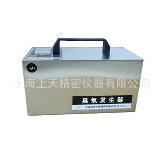 SJ-ST-5G New Commercial Hand Portable Ozone Generator Air Purifier