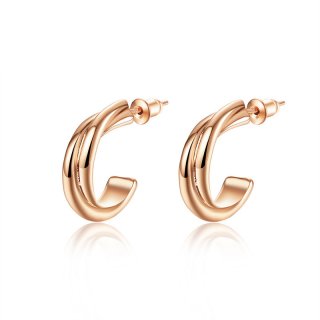 Creative High Quality Earrings Rose Gold plated Fashion Earring for Women LKN18KRGPE003