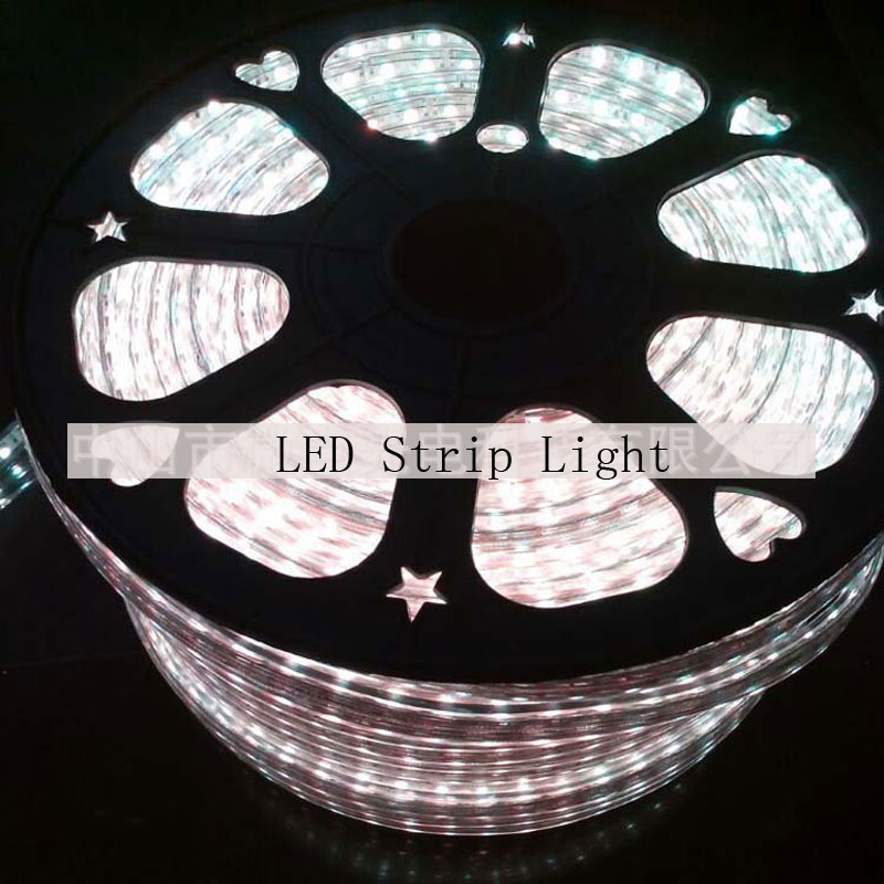 LED Strip Light 5050 SMD LED Flexible Light IP68 Waterpoof 12V